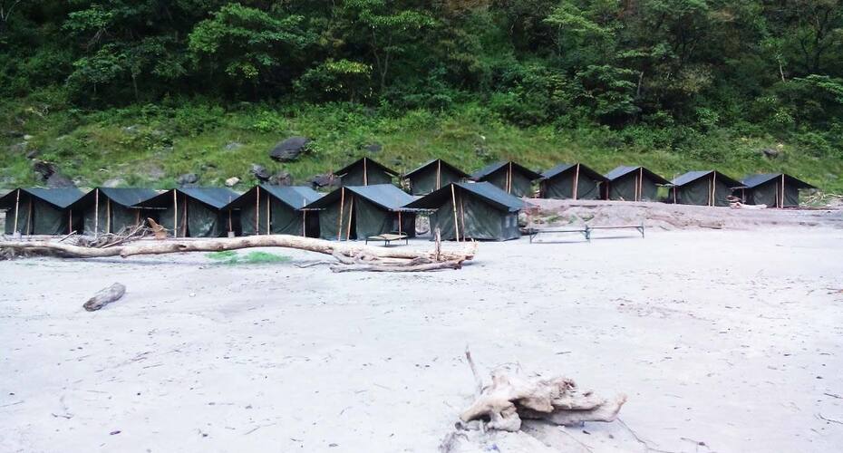 Ganga River Tour (Sapera Camp), Rishikesh 3